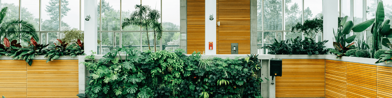 BotanyShop.co.uk hero banner